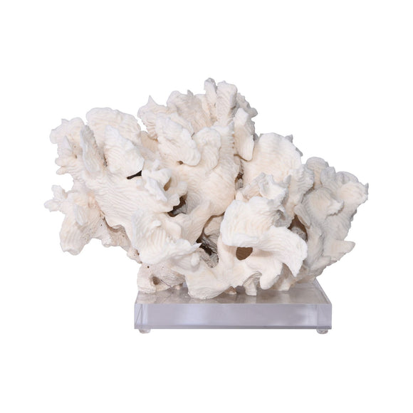 Rugosa Coral 12-15 Inch On Acrylic Base